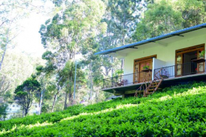 Green Wood Hotel